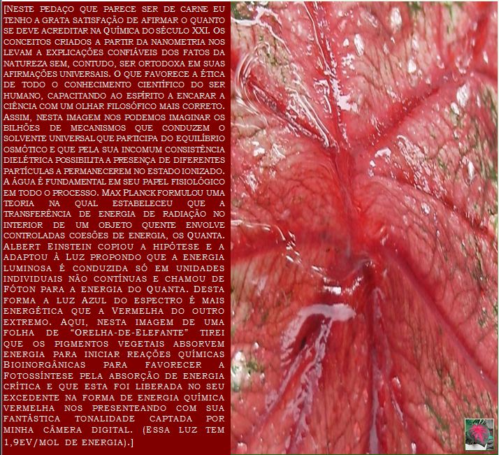 OS CONCEITOS DA NANOMETRIA ATRAI A NOVA QUIMICA DA RADIAO A CLAREAR A ESCURIDO TECNOLGICA DA HUMANIDADE - 2013.